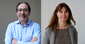 Jordi Alonso i Montse Fitó, entre els científics més citats del món